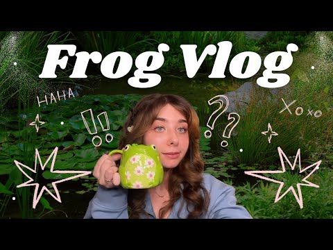 Cutienovafrog