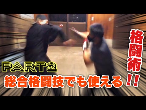 総合格闘技でも使える格闘術 #2【元軍人】