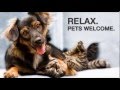Pet Friendly Casino Hotel Smoking Hampton Inn