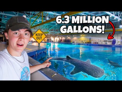 Behind the scenes AMERICA’S LARGEST AQUARIUM!! (6.3 MILLION GALLONS) 
