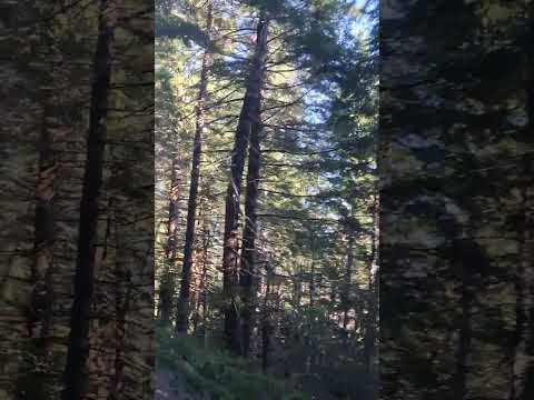Driving to the campsite