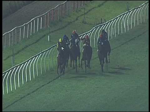 Galoppo 08/03/2017 - 6ª corsa