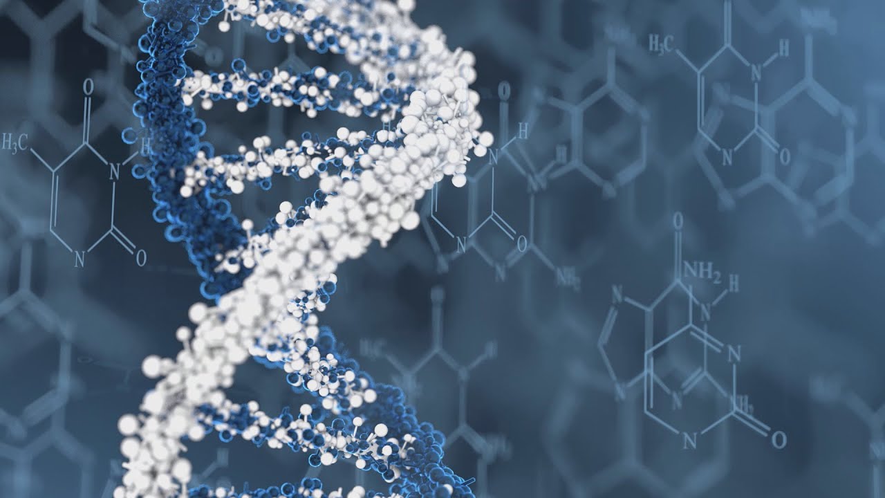 🎥 Documentário - O valor do nosso DNA