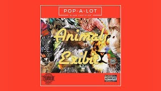 Pop-A-Lot - Animal Exhibit