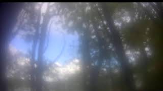 Eagle Cam #2 - Baron Blue - White Tailed Eagles Nest Live live webcam
