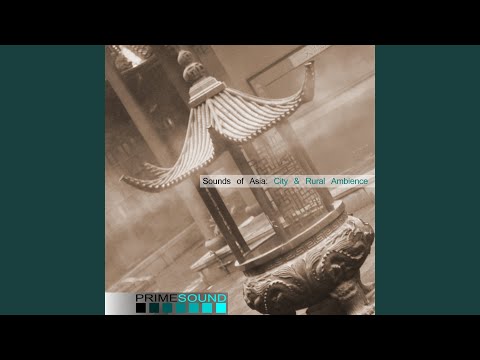 Busy Hong Kong Night Market Ambience