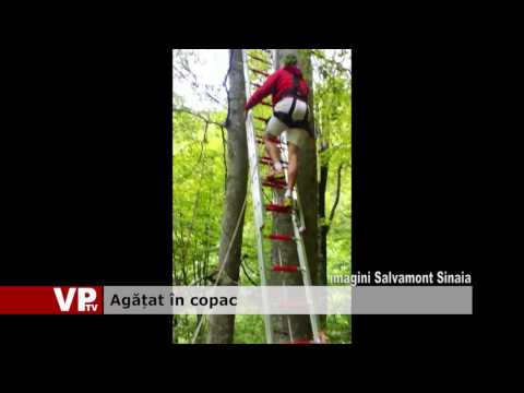 Agățat în copac