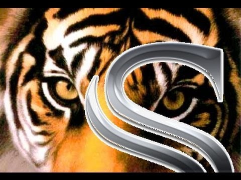 The Buttery Stuff: Tiger Shot