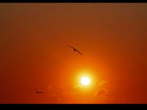 Adversus - Schwarzer Vogel,flieg!