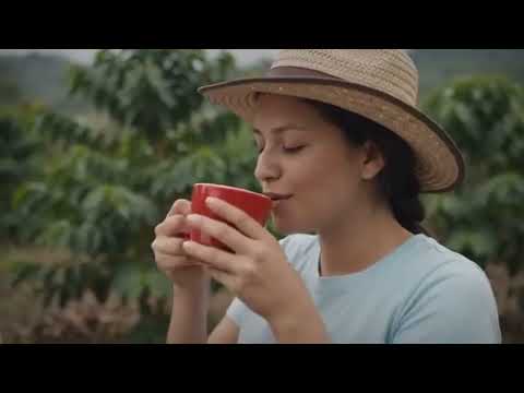 Nilo Cundinamarca  pueblo nuevo vereda batavia  café panche