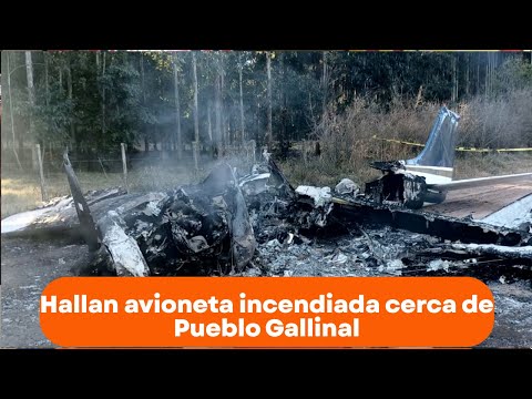 Hallan avioneta incendiada cerca de Pueblo Gallinal y se investiga su procedencia