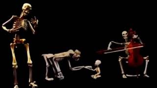 Harambe you won't be forgotten