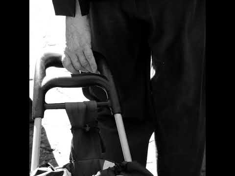 Feitoria - Solo Fértil