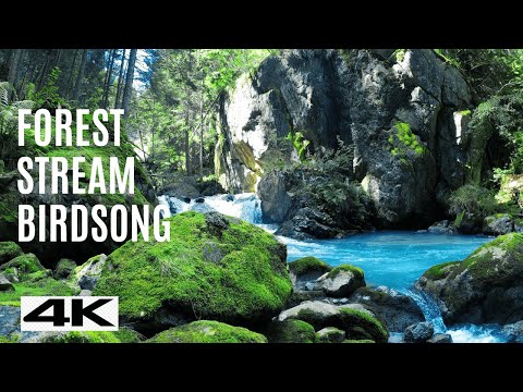 4K Relaxing River - Ultra HD Nature Video - Water Stream & Birdsong Sounds - Sleep/Study/Meditate