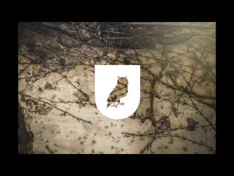 playlist @staff photography