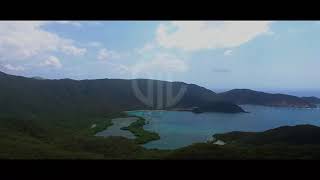 Alonzo : suis moi ...