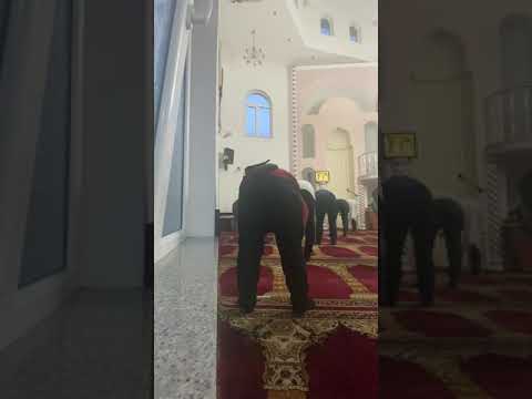 Very Beatiful Qur’an Recitation - sleeping help - calming by dr Edib Abazi