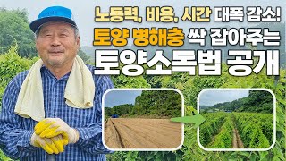 강력한 선충 방제 효과! 비용 시간 노동력 아껴주는 효과만점 토양관리 토양소독법