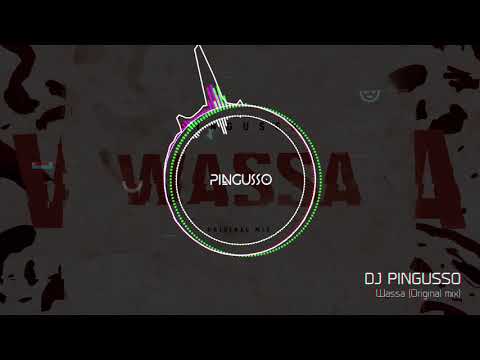 DJ Pingusso - Wassa (Original mix)