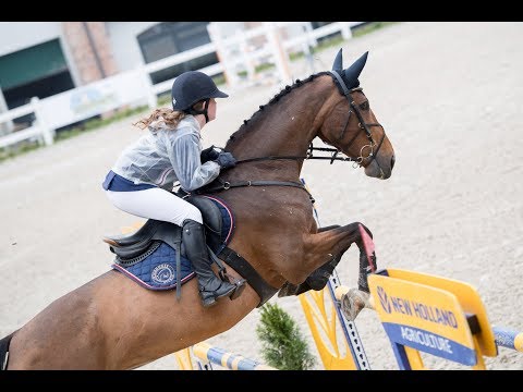 Cyrkonia 2002 ( Turbud Quirinus x Cavalliero) Olsza 1.06.18