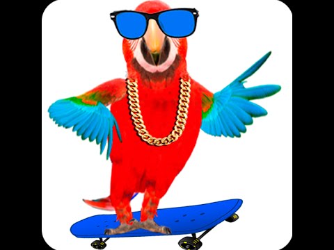 Talking Parrot 2 Video