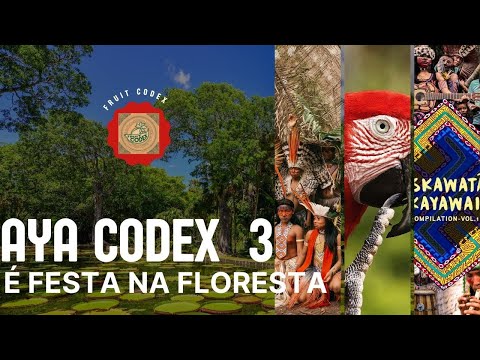 Aya Codex 3  - é a festa na floresta