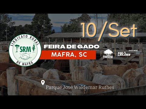 49º Feira de Bovinos de Mafra, SC 10/09/2022 | Tarumã Remates