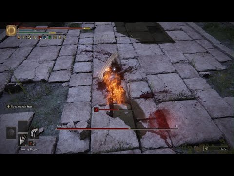 Elden Ring - When the Mimic Tear boss is actually hard