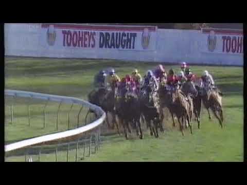 1989 Flight Stakes - A Little Kiss