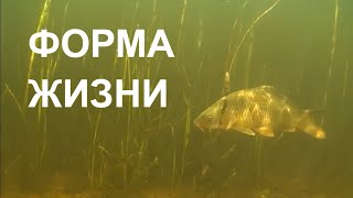 Рыбалка в устье реки волга координаты