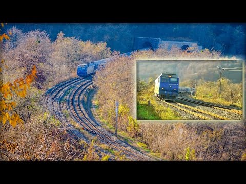 [Multi-Cam] GM990 Mega-Honking Concert @Stana, Cluj County (15 11 2014)