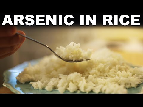 Rice has arsenic in it — don't freak out, here's the science