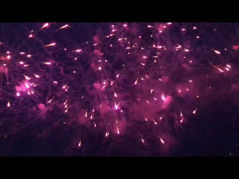 Dominator 1 4 Pro Line Purple Peony (Whole Case)