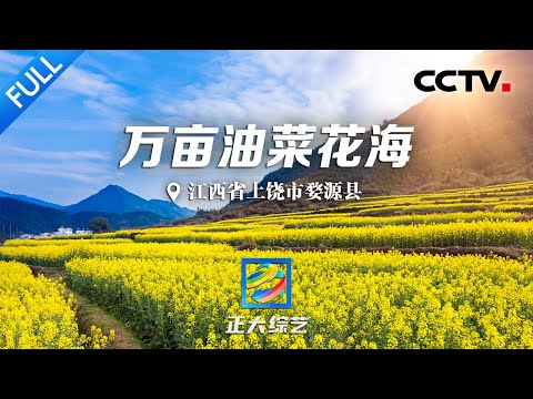 [Completo] Conquiste a rota de viagem em Wuyuanku, cidade de Shangya, província de Jiangxi! O oceano dourado de Wanyou Yunahana, o grande cenário da corrida aquática de 2.000 anos | CCTV "Conclusão Shodai" 20230430