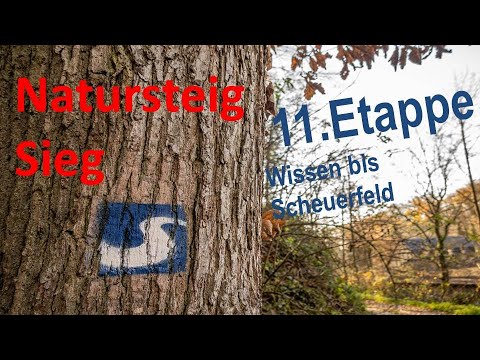 Natursteig Sieg - 11. Etappe - Wissen bis Scheuerfeld wandern.