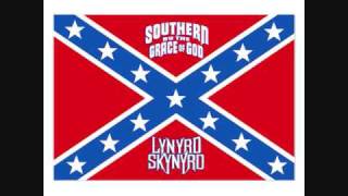 LYNYRD SKYNYRD SIMPLE LIFE