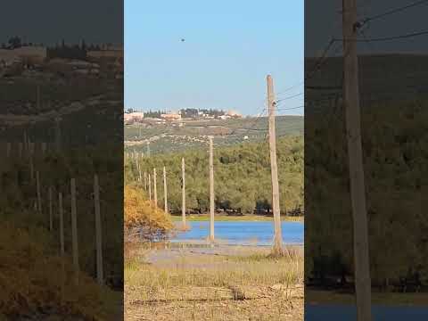 #larambla desde la #laguna del Pozo del Villar. #campiñacordobesa #cordoba #andalucia #españa.