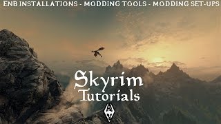 Skyrim - How To Install MOST ENB's with Mod Organizer