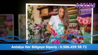 Antalya Lara Çiçekçi  - 0506 459 5872  - Açelya Çiçek