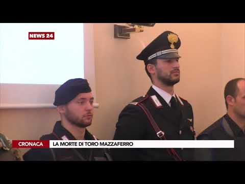La morte di Toro Mazzaferro