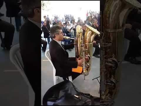 Desejo ser o meu Senhor 274