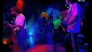 Ween 03-15-95 MTV Europe 120 Minutes Part 2 of 2