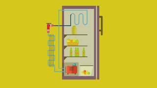 How does a refrigerator work?