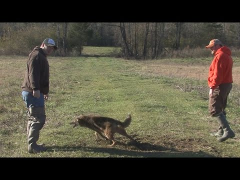 Trapping Time, Season 2 Episode 11