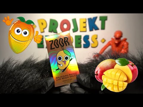 ZooR Malaysian Mango Dispo Review with Spicy Pickle Panda