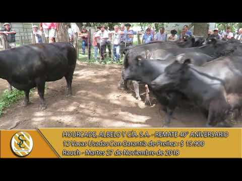 27-11-18 Venta de Vientres - Hourcade, Albelo y Cía. S.A. - Rte. 40° Aniv. - Rauch