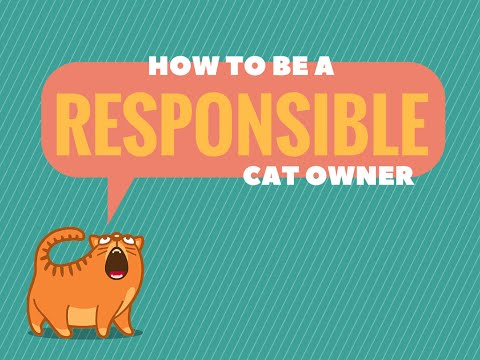 Tips on Responsible Cat Ownership