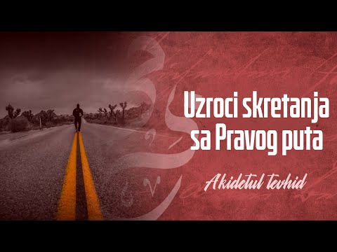 Uzroci skretanja sa Pravog puta - dr. Zijad Ljakić