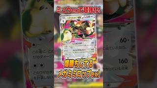 ポケカ新シーズン開幕！「メガミミロップex」が爆勝ちしていたので紹介＆解説♪【シティリーグ2027S1】