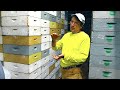 Greg Rogers part 4 of 4 - Pollen Patties, Feeders, Queen Excluders & More